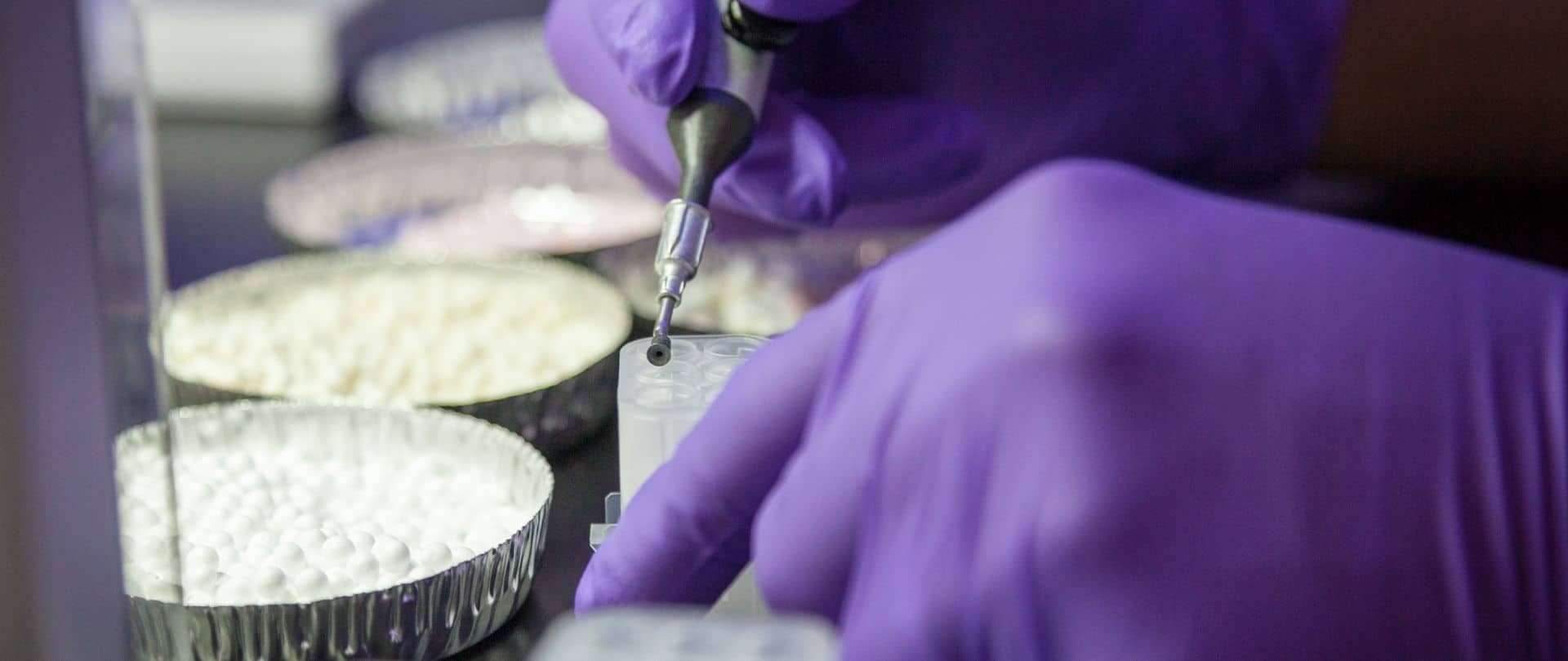 Three Reasons Why Lyophilized Beads are the Next Big Thing in Assay